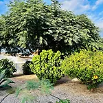 Casa - Is Need Apartman Arona