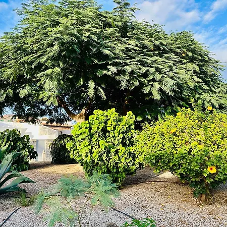 Apartamento Casa - Is Need