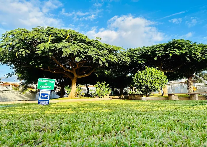 Casa Delux أرونا